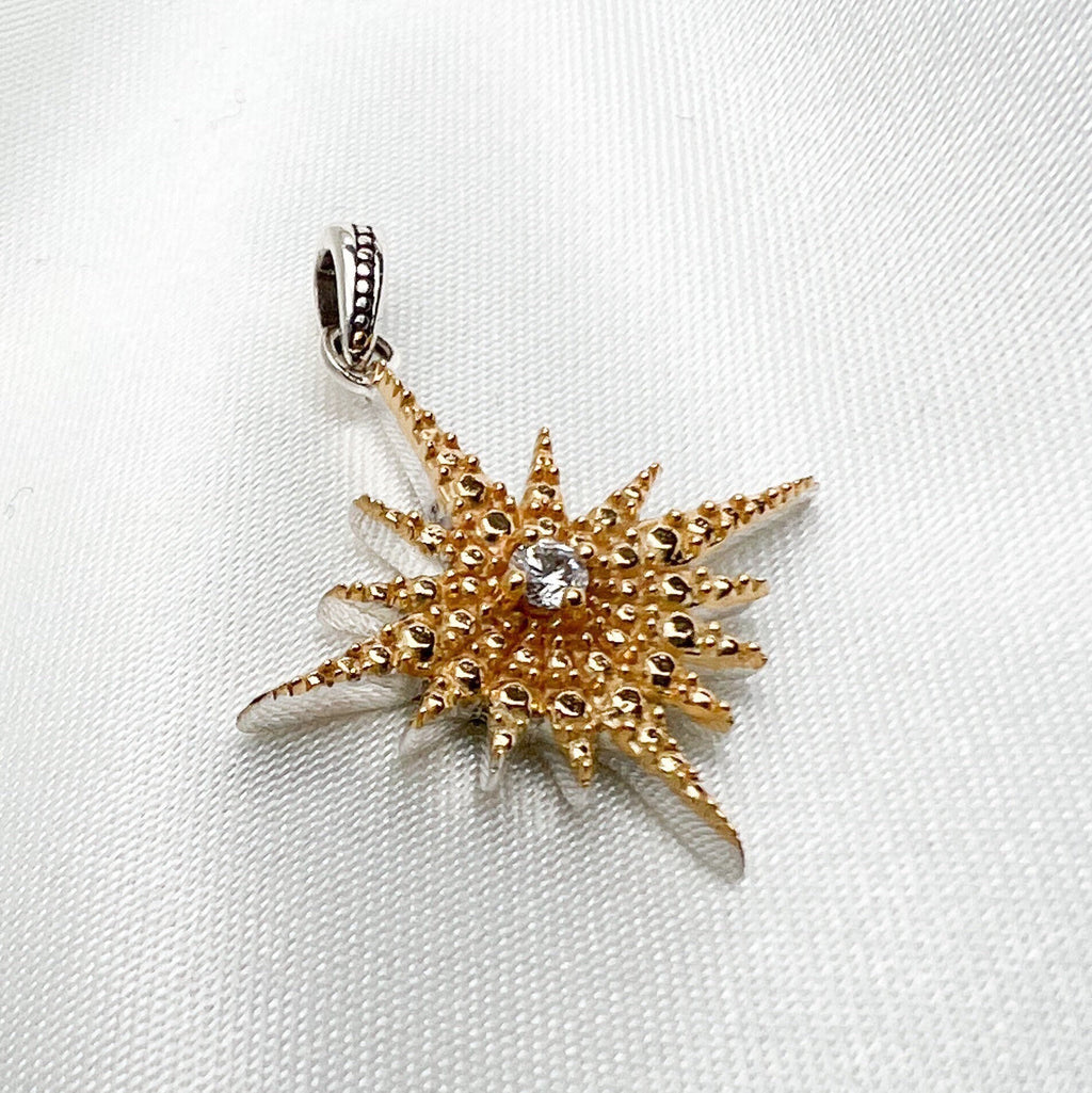 Elegant Star of Bethlehem Pendant in 925 Silver, Gold, and Zircon Accent