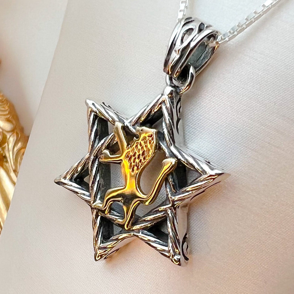 Sterling Silver David Star with 14k Gold Lion of Judah, Regal Pendant