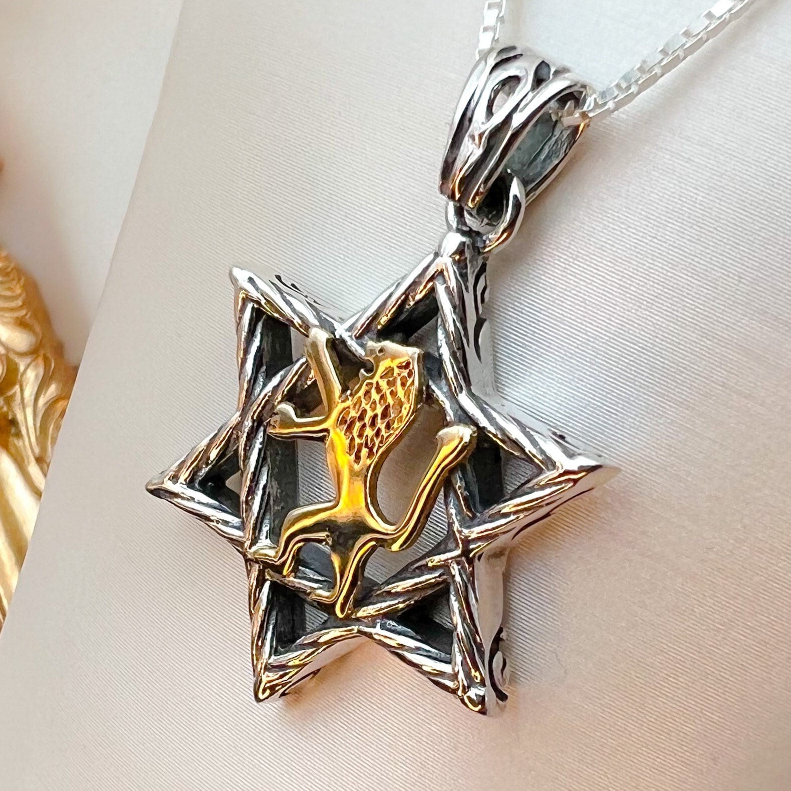 Sterling Silver David Star with 14k Gold Lion of Judah, Regal Pendant