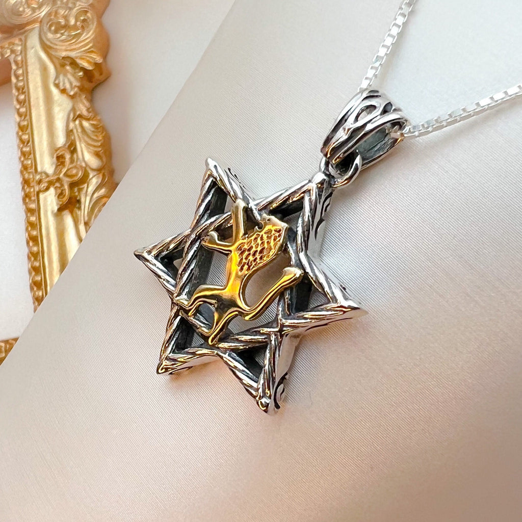 Sterling Silver David Star with 14k Gold Lion of Judah, Regal Pendant