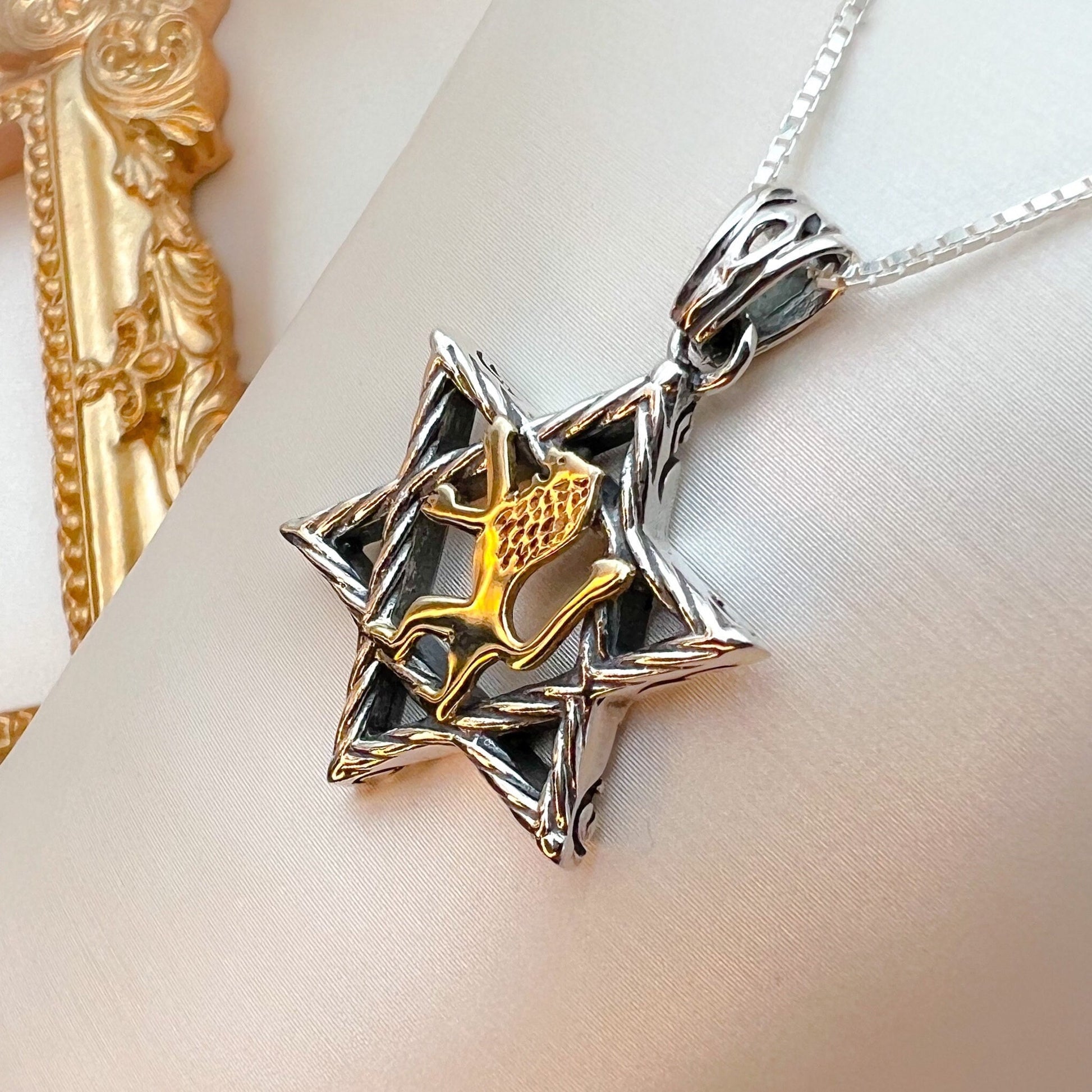 Sterling Silver David Star with 14k Gold Lion of Judah, Regal Pendant