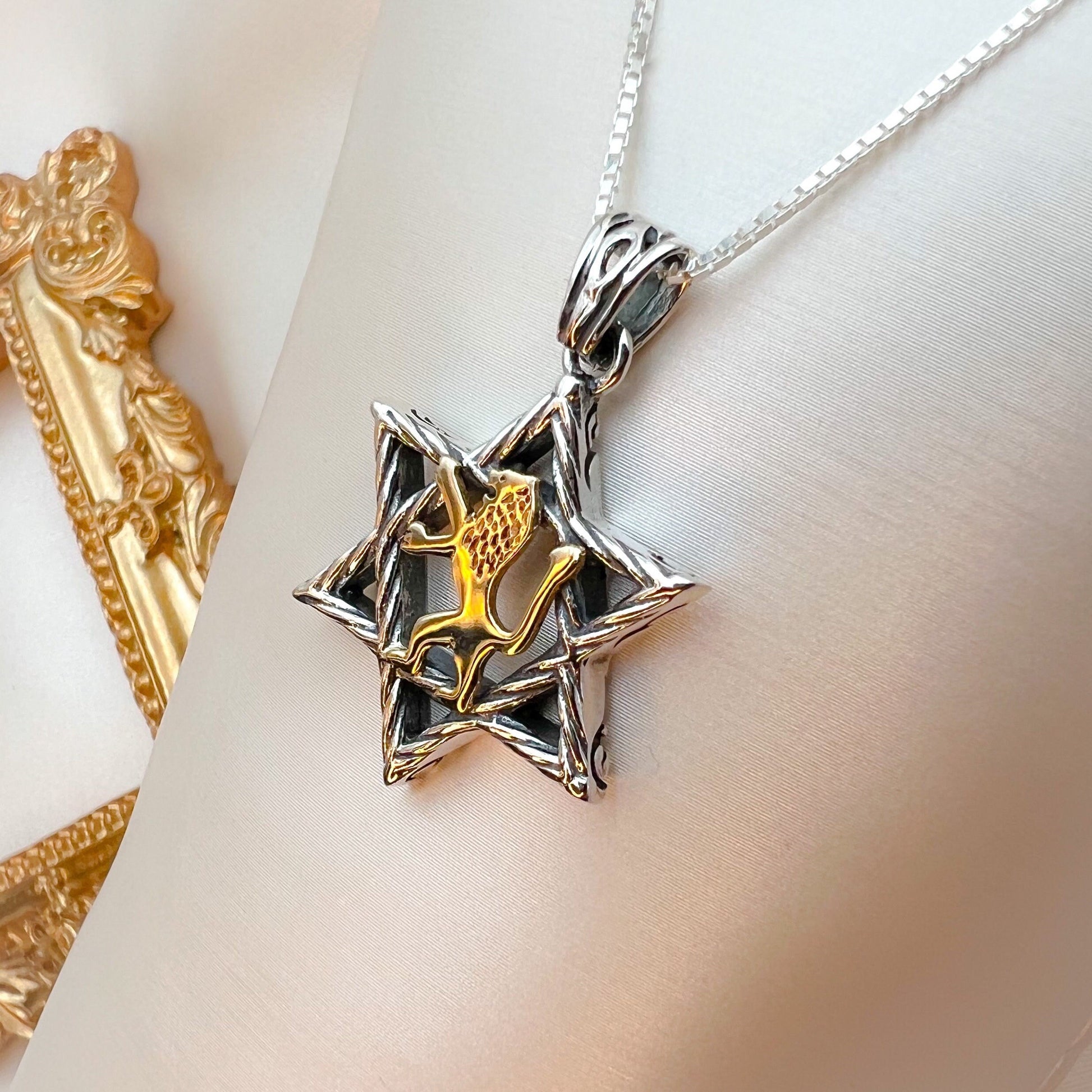 Sterling Silver David Star with 14k Gold Lion of Judah, Regal Pendant