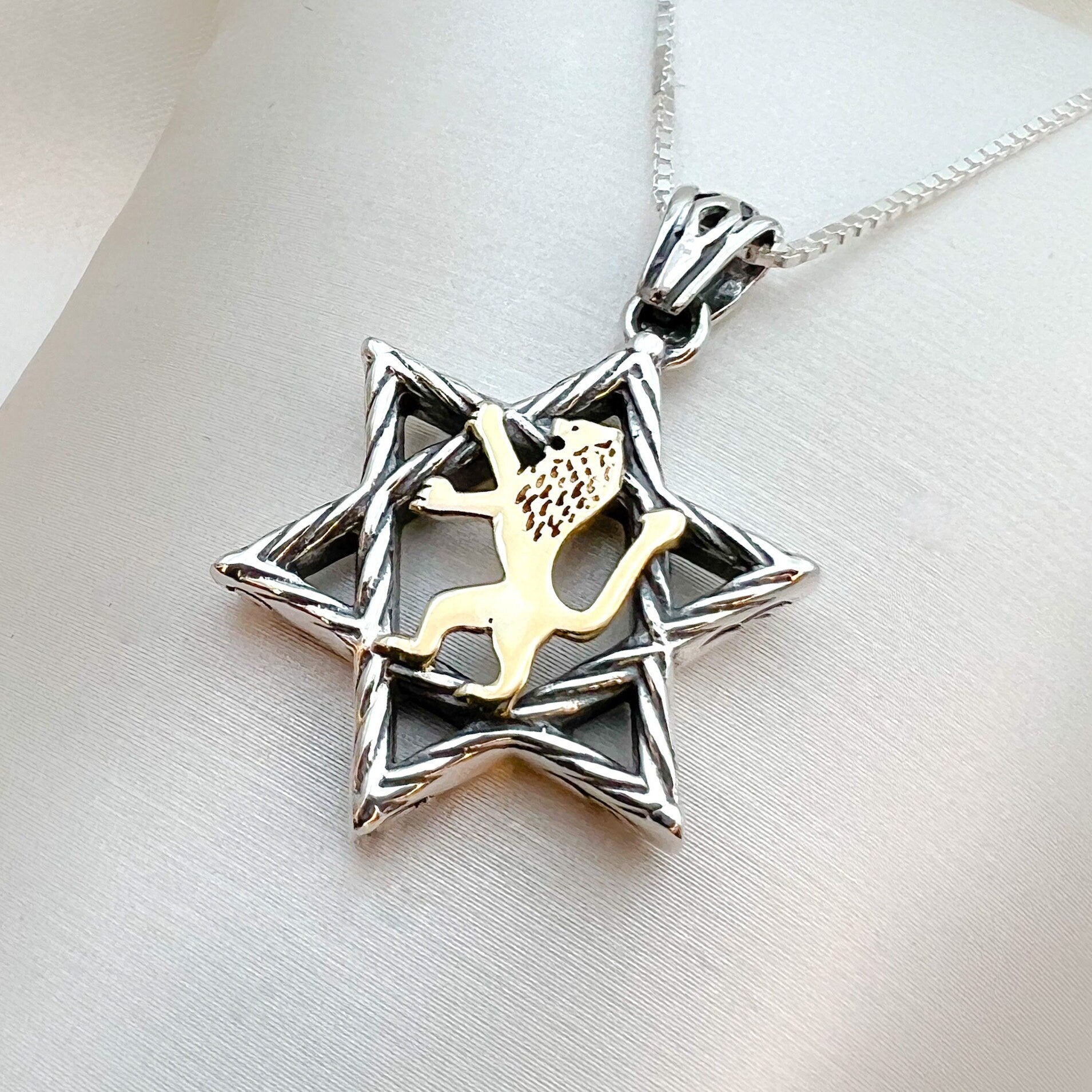 Sterling Silver David Star with 14k Gold Lion of Judah, Regal Pendant