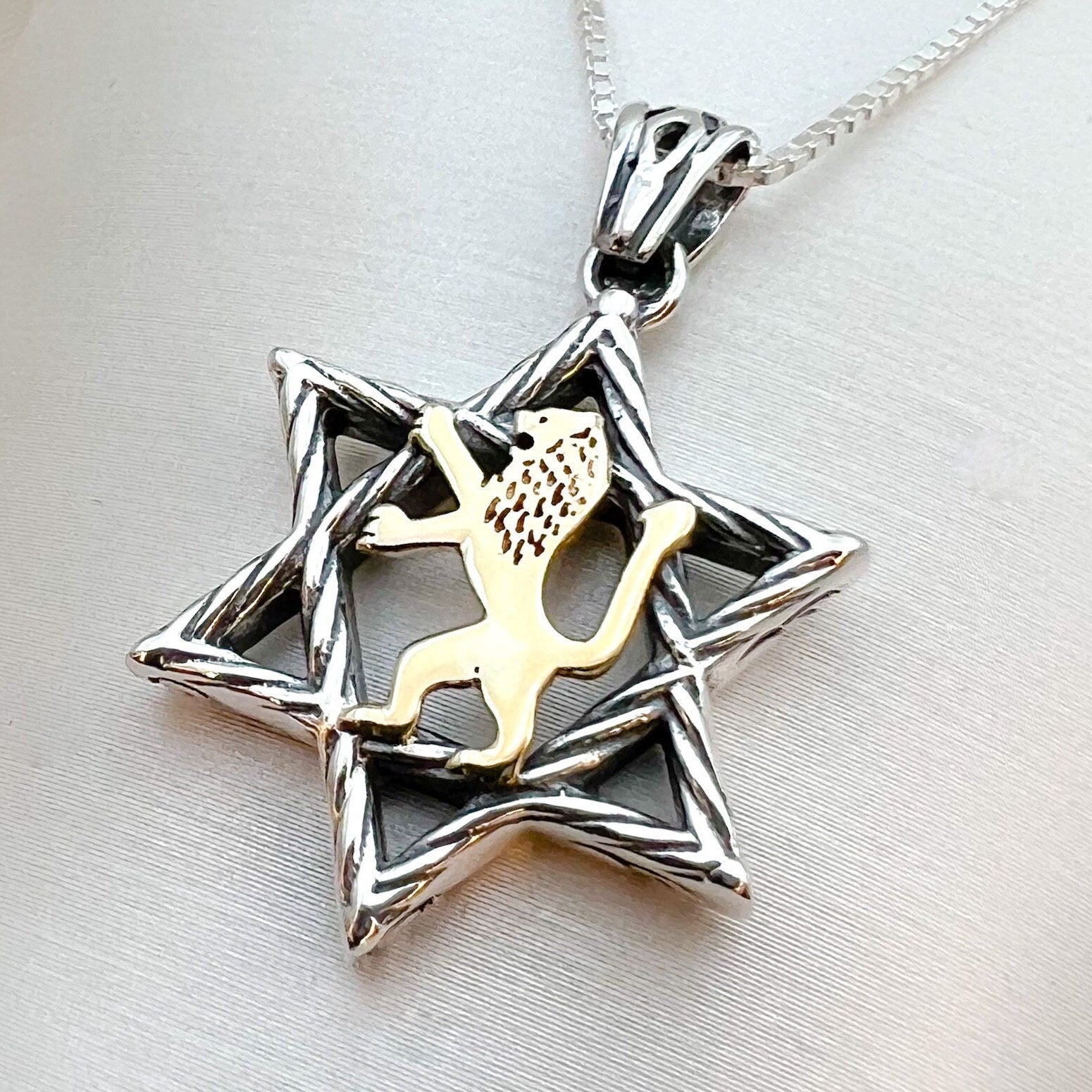 Sterling Silver David Star with 14k Gold Lion of Judah, Regal Pendant