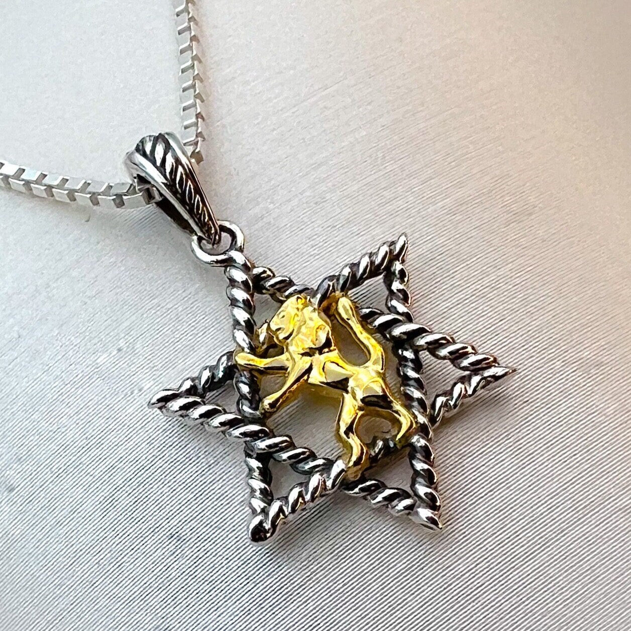 Regal Strength David Star with Lion of Judah in 14k Gold